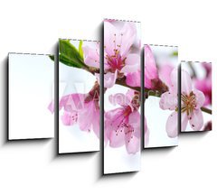 Obraz 5D ptidln - 150 x 100 cm F_GB39835010 - pink blossoms