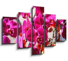 Obraz 5D ptidln - 150 x 100 cm F_GB404163795 - Close