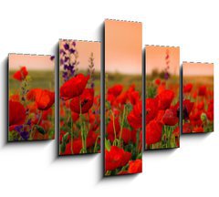 Obraz   Field of poppies on a sunset, 150 x 100 cm