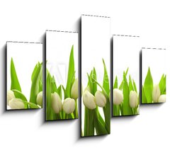 Obraz 5D ptidln - 150 x 100 cm F_GB40774643 - Weie Tulpen