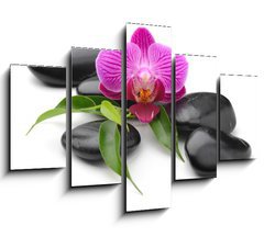 Obraz 5D ptidln - 150 x 100 cm F_GB40893585 - orchid