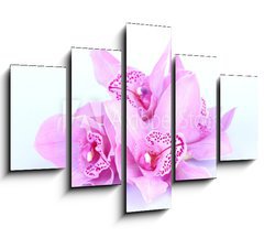 Obraz 5D ptidln - 150 x 100 cm F_GB41582656 - beautiful pink orchid against blue background
