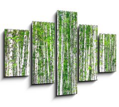 Obraz 5D ptidln - 150 x 100 cm F_GB41678532 - Birch forest. May