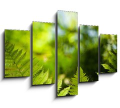 Obraz 5D ptidln - 150 x 100 cm F_GB419413555 - Green fresh fern leafs in a forest with trees in the background and a blue sky
