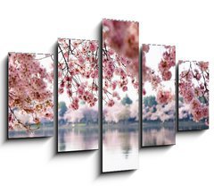 Obraz 5D ptidln - 150 x 100 cm F_GB41977013 - Cherry Blossoms over Tidal Basin in Washington DC