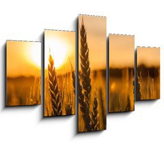 Obraz 5D ptidln - 150 x 100 cm F_GB42060294 - Wheat Stalk silhouette