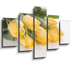 Obraz   Spring tulips isolated on white, 150 x 100 cm