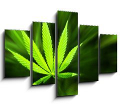 Obraz 5D ptidln - 150 x 100 cm F_GB42226543 - Marijuana background