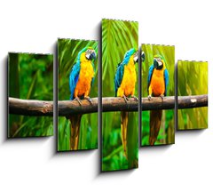 Obraz 5D ptidln - 150 x 100 cm F_GB42532067 - Blue-and-Yellow Macaw - Modr