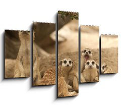 Obraz 5D ptidln - 150 x 100 cm F_GB42641271 - Portrait group of meerkat