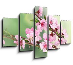 Obraz 5D ptidln - 150 x 100 cm F_GB42824087 - beautiful pink peach blossom on green background