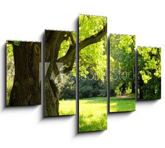 Obraz 5D ptidln - 150 x 100 cm F_GB42887585 - Mighty oak tree