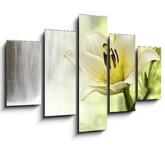 Obraz 5D ptidln - 150 x 100 cm F_GB43046755 - Spritzige Lilie