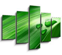 Obraz 5D ptidln - 150 x 100 cm F_GB43098677 - Plantleaf
