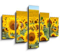 Obraz 5D ptidln - 150 x 100 cm F_GB43246841 - Beautiful sunflower field