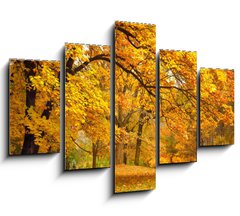 Obraz   Autumn / Gold Trees in a park, 150 x 100 cm
