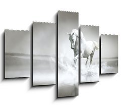 Obraz   White horse running through water, 150 x 100 cm