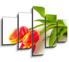 Obraz ptidln 5D - 150 x 100 cm F_GB4410361 - tulpen - tulips