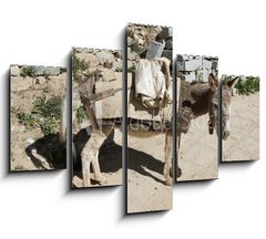 Obraz 5D ptidln - 150 x 100 cm F_GB44262409 - Esel von trauriger Gestalt