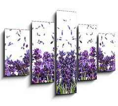 Obraz 5D ptidln - 150 x 100 cm F_GB44305903 - fresh lavender flowers on white