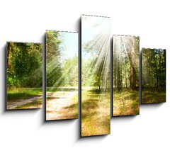 Obraz 5D ptidln - 150 x 100 cm F_GB44542883 - Forest