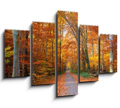 Obraz 5D ptidln - 150 x 100 cm F_GB44662629 - Pathway in the autumn forest