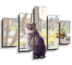 Obraz 5D ptidln - 150 x 100 cm F_GB44792547 - cat sitting on the windowsill in the flowers on the background o