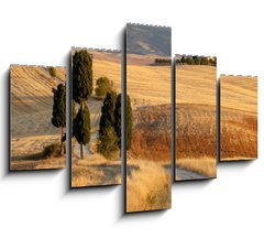 Obraz 5D ptidln - 150 x 100 cm F_GB44861103 - Tuscan countryside at sunset, near Pienza, Tuscany, Italy - Tosknsk krajina pi zpadu slunce, nedaleko Pienza, Tosknsko, Itlie