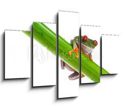 Obraz 5D ptidln - 150 x 100 cm F_GB45099482 - Green Frog with red eye.