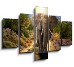 Obraz 5D ptidln - 150 x 100 cm F_GB45496510 - Elephant walking on the road at sunset