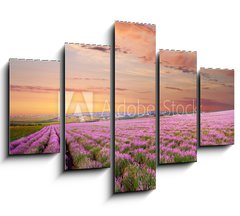 Obraz 5D ptidln - 150 x 100 cm F_GB45630715 - Meadow of lavender