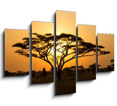 Obraz 5D ptidln - 150 x 100 cm F_GB45762183 - Rising Sun shinning through an Acacia Tree in Serengeti