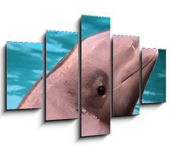 Obraz 5D ptidln - 150 x 100 cm F_GB45790303 - Beluga whale