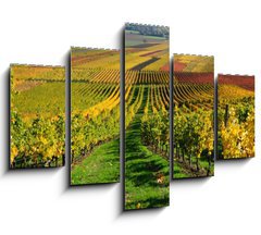 Obraz   Vineyards in autumn colours. The Rhine valley, Germany, 150 x 100 cm