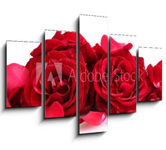 Obraz 5D ptidln - 150 x 100 cm F_GB46400536 - beautiful red roses and petals isolated on white