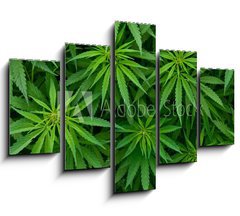Obraz 5D ptidln - 150 x 100 cm F_GB46939324 - Marijuana - Marihuana