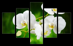 Obraz 5D ptidln - 150 x 100 cm F_GB48780289 - orchid