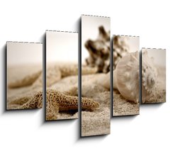 Obraz pětidílný 5D - 150 x 100 cm F_GB489827 - seashells on the sand