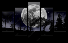 Obraz 5D ptidln - 150 x 100 cm F_GB492013525 - moon, tree and starry sky