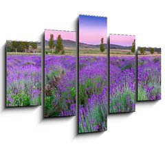 Obraz 5D ptidln - 150 x 100 cm F_GB49777064 - Sunset over a summer lavender field in Tihany, Hungary