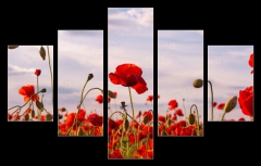 Obraz 5D ptidln - 150 x 100 cm F_GB499070572 - Anzac Day memorial poppies. Field of red poppy flowers to honour fallen veterans soldiers in battle of Anzac armistice day. Wildflowers blooming poppy field landscape. Meadow with flowers.