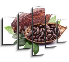 Obraz 5D ptidln - 150 x 100 cm F_GB50690760 - Cocoa pod - Kakaov lusek