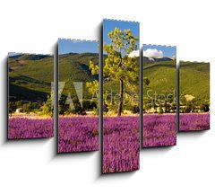 Obraz 5D ptidln - 150 x 100 cm F_GB51603534 - Campi di Lavanda a Valensole Provenza, Francia