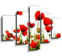 Obraz   coquelicots sur fond blanc, 150 x 100 cm