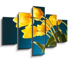 Obraz   back of a gorgeous bouquet of yellow tulips, 150 x 100 cm