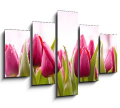 Obraz 5D ptidln - 150 x 100 cm F_GB51930622 - Fresh Tulips with Dew Drops