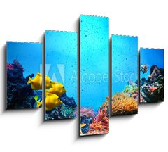 Obraz   Underwater scene. Coral reef, fish groups in clear ocean water, 150 x 100 cm