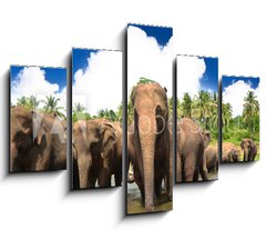 Obraz 5D ptidln - 150 x 100 cm F_GB53076772 - Elephant group in the river