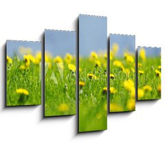 Obraz 5D ptidln - 150 x 100 cm F_GB53166656 - Yellow dandelions