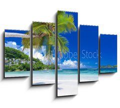 Obraz   cocotier pench sur plage des Seychelles, 150 x 100 cm